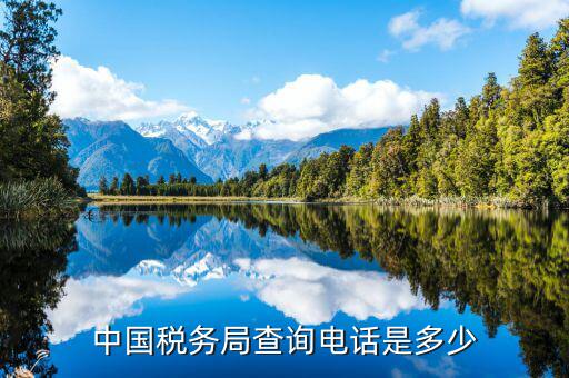 福建國(guó)稅查找打什么電話，國(guó)稅電話