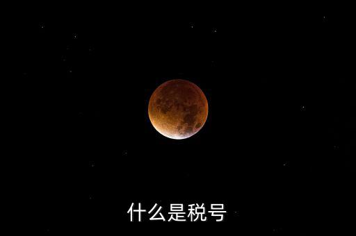陜西省國家稅務(wù)局稅號(hào)是什么，什么是稅號(hào)