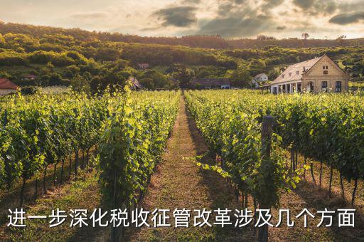 稅務(wù)改革 發(fā)展要什么，論述個(gè)人所得稅改革的基本原則