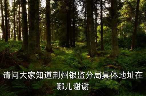 荊州稅務局在什么地方，請問大家知道荊州銀監(jiān)分局具體地址在哪兒謝謝