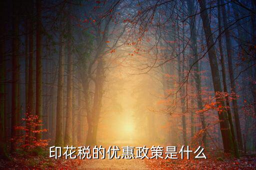 簡述印花稅的優(yōu)惠政策是什么，印花稅的優(yōu)惠政策是什么