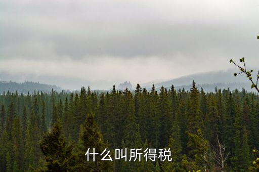 居民企業(yè)所得稅是什么，居民企業(yè)所得稅月度預(yù)繳納稅申報(bào)收入指什么時(shí)候的