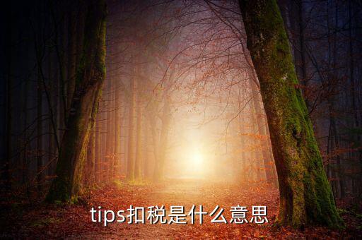 國(guó)稅tips系統(tǒng)指什么意思，電子對(duì)賬單上摘要一欄寫(xiě)有tips是什么意思