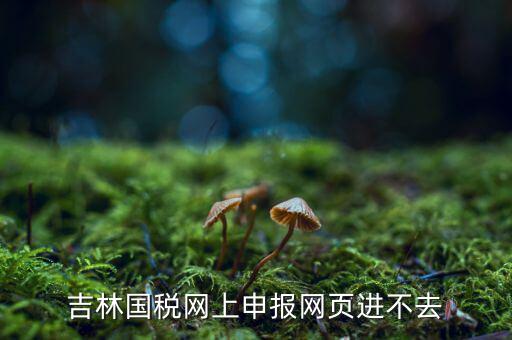 吉林省國(guó)稅上不去為什么，吉林省國(guó)家稅務(wù)局晚上申報(bào) 無(wú)法安全登陸