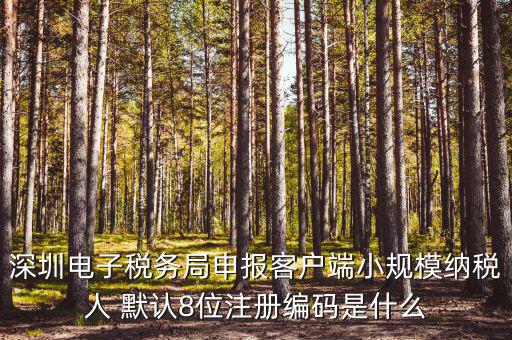 深圳納稅人編號(hào)是什么，什么是深圳市國(guó)稅百元開(kāi)頭發(fā)票的納稅人識(shí)別號(hào)
