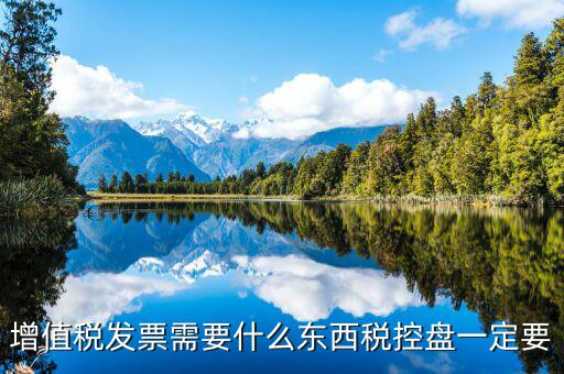 發(fā)票打印需要什么盤(pán)，調(diào)試打印增值稅發(fā)票的打印機(jī)要插入金稅盤(pán)嗎