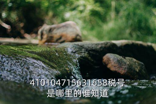河南省的稅號(hào)是什么意思，410104715631658稅號(hào)是哪里的誰(shuí)知道