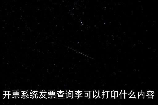 開票系統發(fā)票查詢李可以打印什么內容