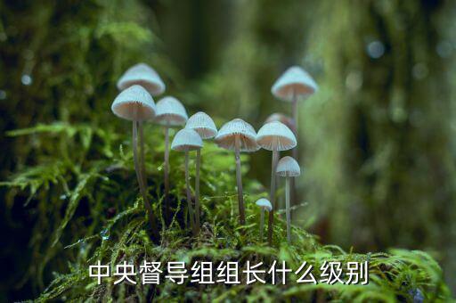 稅務(wù)督導(dǎo)組組長(zhǎng)什么級(jí)別，縣委縣政府督察組組長(zhǎng)行政級(jí)別具體工作是什么