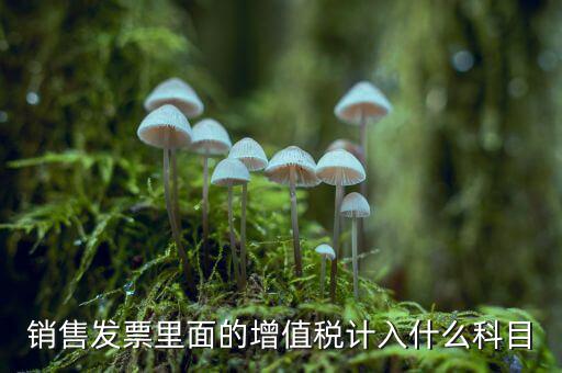 發(fā)票稅金入什么科目，開(kāi)票稅金計(jì)入什么科目