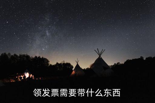 發(fā)票領(lǐng)用簿 需要什么資料，領(lǐng)發(fā)票需要帶什么東西