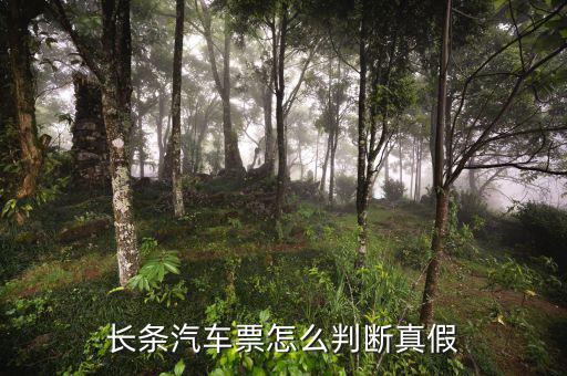長條國稅車票什么樣子，國稅長途汽車票什么樣