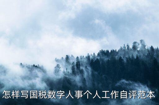 國稅數(shù)字人事是什么，專業(yè)的除了可以考會計證和證券從業(yè)資格證以為還可以考什么證