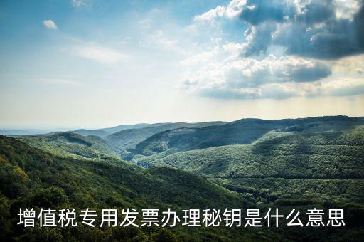 國稅密鑰是什么，增值稅專用發(fā)票辦理秘鑰是什么意思