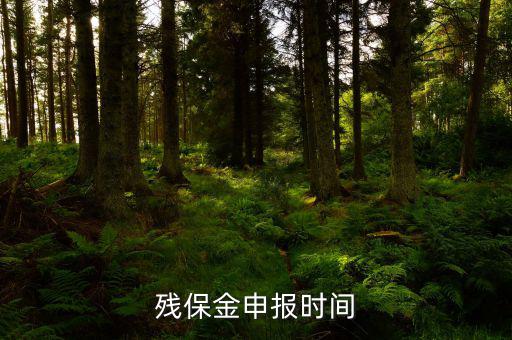 2016殘保金什么時(shí)候交，殘保金是一年一交嗎