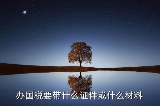 新辦國稅需要什么資料，第一次買國稅發(fā)票需要些什么手續(xù)
