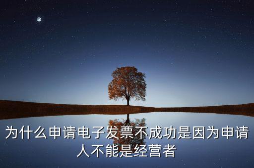 發(fā)票網(wǎng)上申領失敗什么原因，電子發(fā)票網(wǎng)上申領結(jié)果是2