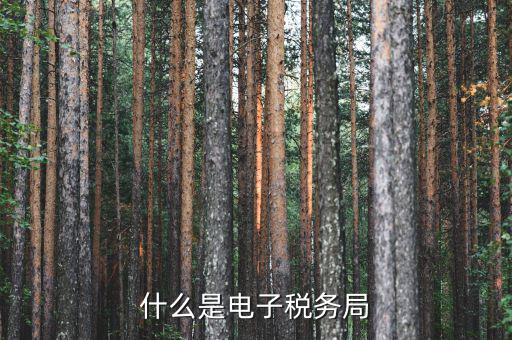 國稅網(wǎng)廳是什么意思，什么是電子稅務(wù)局