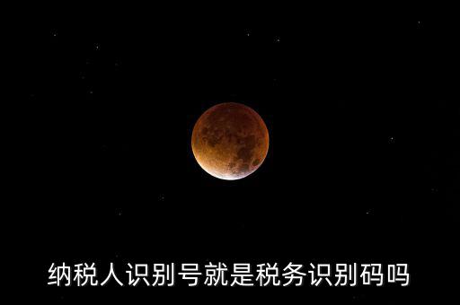 稅務(wù)標(biāo)識(shí)符是什么意思，納稅人識(shí)別碼是什么
