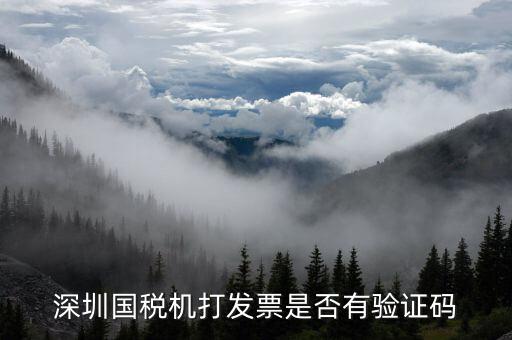 為什么用微信深圳國(guó)稅，深圳寶安區(qū)的騰訊網(wǎng)財(cái)務(wù)負(fù)責(zé)人是誰(shuí)