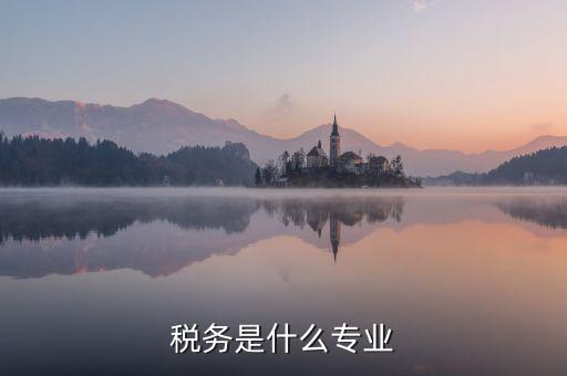 中文專業(yè)和稅務(wù)專業(yè)沒(méi)什么關(guān)系啊，稅務(wù)專業(yè)有哪些相近專業(yè)