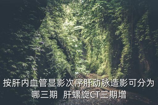 為什么要做三期增強(qiáng)，按肝內(nèi)血管顯影次序肝動(dòng)脈造影可分為哪三期  肝螺旋CT三期增