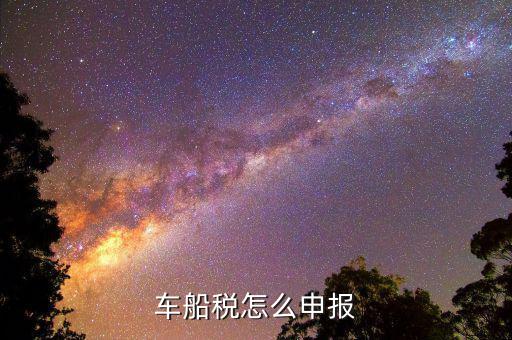 車船稅是按什么申報，車船稅要申報嗎