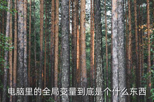 全局是什么意思，什么是指導全局工作決定全局命運的方針方式和計劃