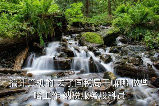 自動(dòng)化進(jìn)國稅局做什么，國稅是做什么工作的
