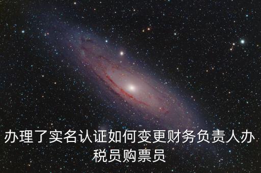 辦稅員在什么網(wǎng)上變更，辦理了實(shí)名認(rèn)證如何變更財(cái)務(wù)負(fù)責(zé)人辦稅員購票員