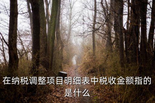 涉稅金額是什么，涉稅是什么意思