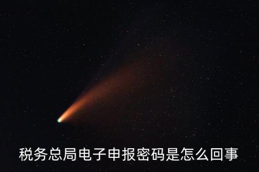電子稅務(wù)默認登錄密碼是什么意思，稅務(wù)局網(wǎng)站的登入賬戶初始密碼是什么