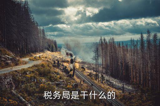 在稅務局都干什么啊，稅務局是干什么的