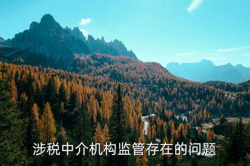 社會(huì)組織涉稅方面有什么問題，涉稅中介機(jī)構(gòu)監(jiān)管存在的問題