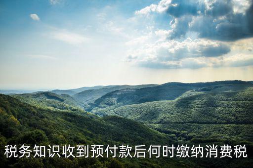 消費(fèi)稅是什么時候交，各種稅費(fèi)交納時間