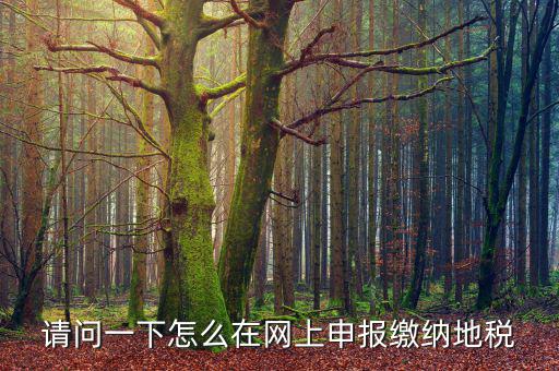 地稅個(gè)稅網(wǎng)址是什么，如何查詢個(gè)人所得稅明細(xì)
