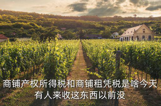 什么是商鋪?zhàn)赓U稅，商鋪出租應(yīng)交哪些稅