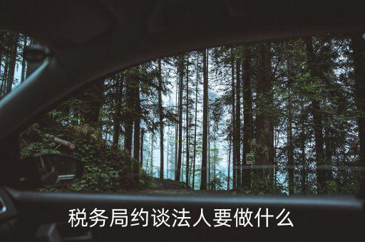 稅務(wù)異常約談法定代表干什么，稅務(wù)局約談法人要做什么