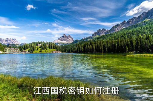 江西國(guó)稅密鑰是什么意思，為啥江西國(guó)稅的CA密鑰總是裝不成功