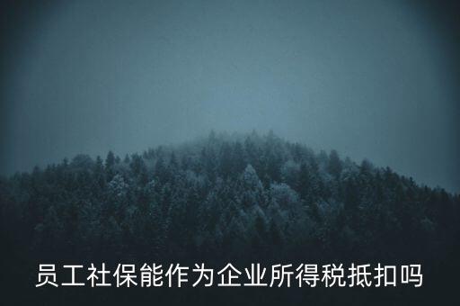 企業(yè)社?？梢缘质裁炊?，員工社保能作為企業(yè)所得稅抵扣嗎