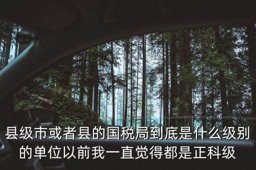 縣國稅局辦稅服務(wù)廳主任是什么級別，縣地稅局辦公室主任是什么行政級別