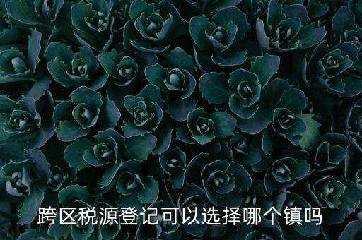 跨區(qū)稅源登記是什么，跨區(qū)稅源登記能否登記為一般納稅人