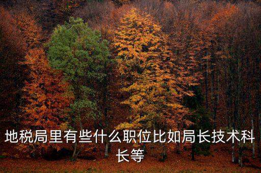 地稅局有什么委員，地級市稅務(wù)局辦公室副主任屬什么級別的官員