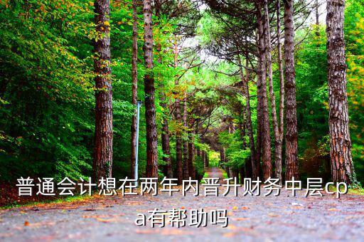 國(guó)稅有什么升職路線，普通會(huì)計(jì)想在兩年內(nèi)晉升財(cái)務(wù)中層cpa有幫助嗎