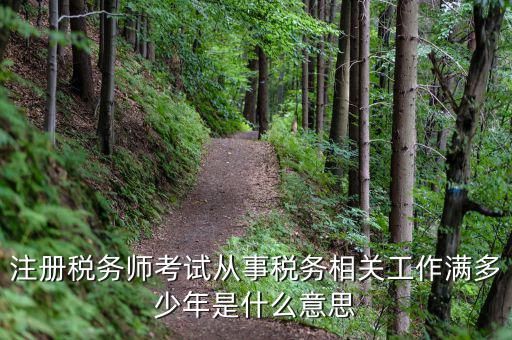 稅務(wù)從業(yè)人數(shù)是什么意思，請問稅務(wù)自查表中的查 數(shù)是什么意思急