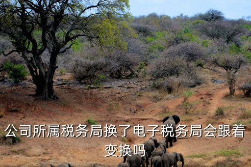 電子稅務(wù)局是什么時(shí)候變更的，公司所屬稅務(wù)局換了電子稅務(wù)局會(huì)跟著變換嗎