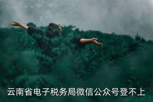 為什么云南省國家稅務(wù)局進(jìn)不去，云南省電子稅務(wù)局微信公眾號(hào)登不上