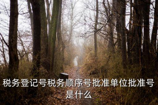 稅務(wù)順序號是什么，稅務(wù)順序號是什么意思