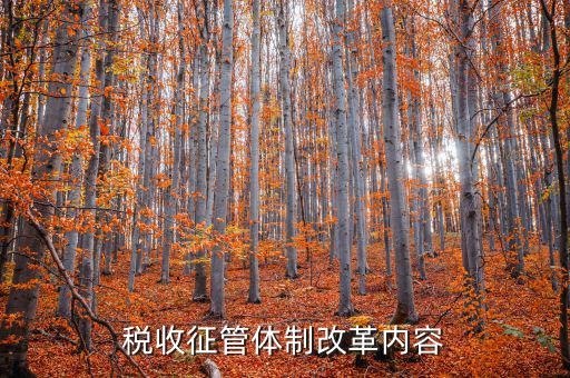 稅收征管體制改革內容
