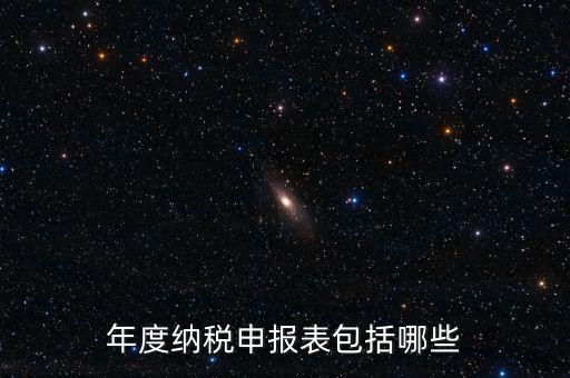 什么是年度納稅申報表，年度納稅申報表包括哪些